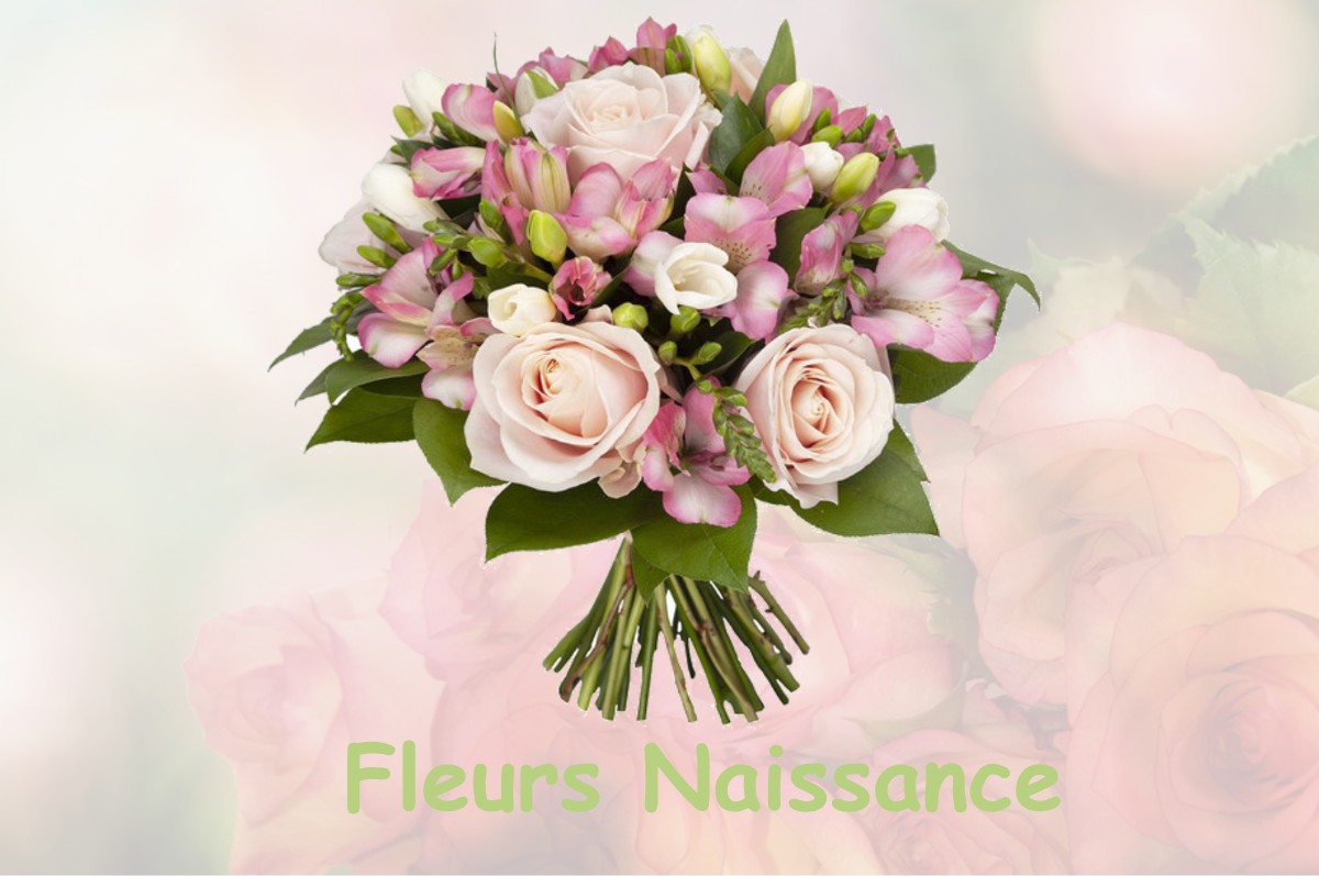 fleurs naissance SALAISE-SUR-SANNE