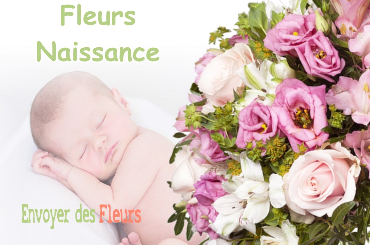 lIVRAISON FLEURS NAISSANCE à SALAISE-SUR-SANNE